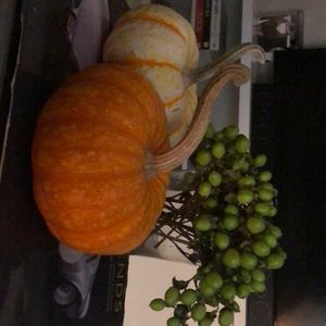 Meet your Posher, Carmen